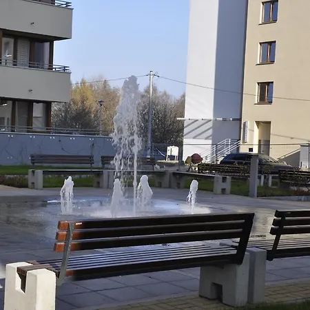 公寓 颜色公寓 克拉科夫